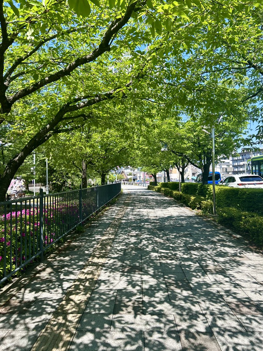 今日はとってもいい天気きゅぽ☀️
鯉のぼりたちも気持ちよさそう🎏
日向ぼっこしたいきゅぽ〜
SR川口元郷駅近くの芝川近くきゅぽ☺️

#芝川鯉のぼり
#川口の鯉のぼり