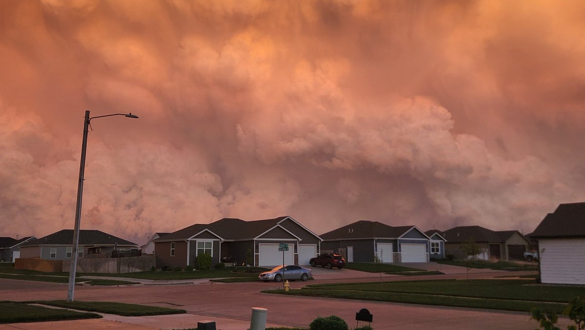 David Toelle tweet media