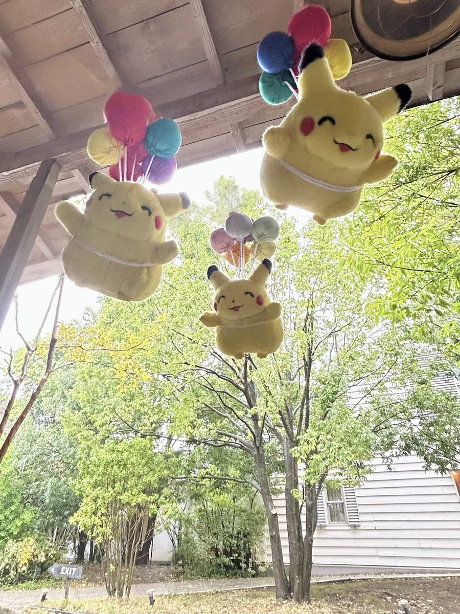 雨だったので屋根ある場所でそらをとんだよ〜🎈