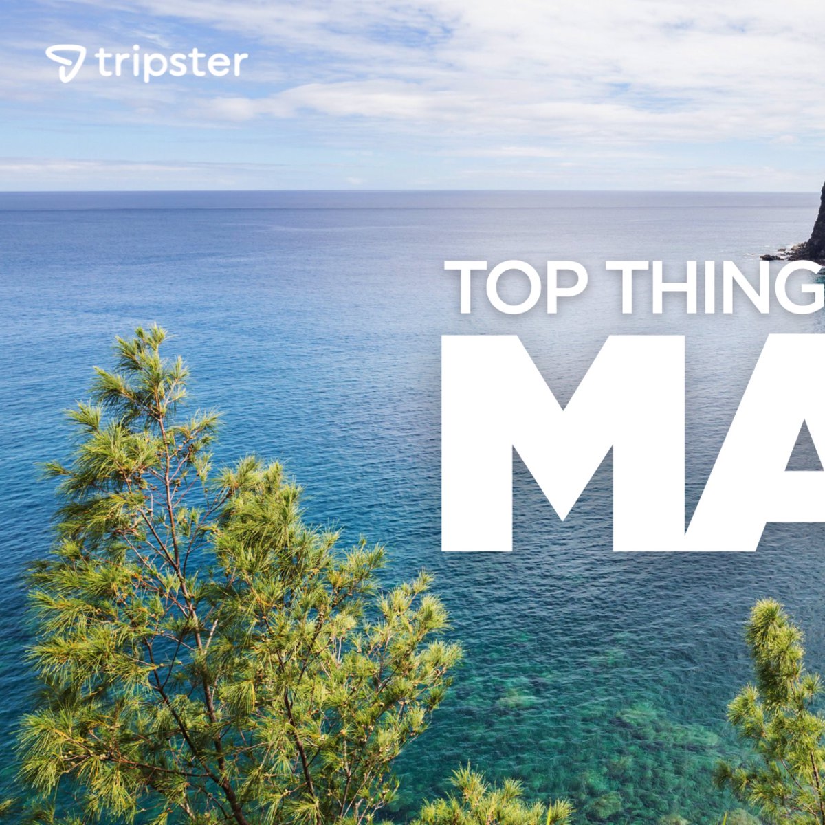 tripster's tweet image. Maui’s top things to do? 🌊 Snorkel reefs, chase waterfalls, sip smoothies the size of your face. 🌺 #MauiVibes #TravelGoals #FamilyAdventures
Which would you do first? 👇

tripster.com/travelguide/be…