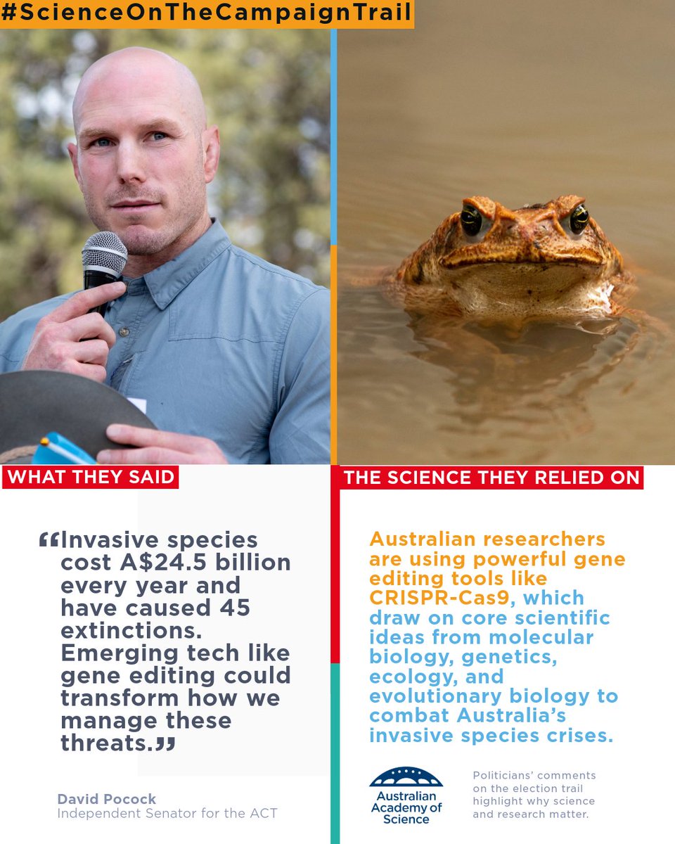 Australian researchers are using powerful gene editing tools like CRISPR-Cas9, which draw on core scientific ideas from molecular biology, genetics, ecology, and evolutionary biology to combat Australia’s invasive species crises.

See more examples of #scienceonthecampaigntrail: