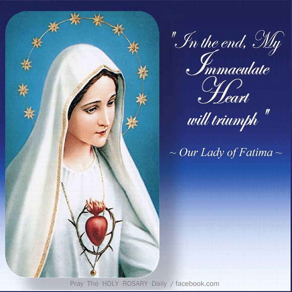 Andrea_tcft74's tweet image. TRiUMPh of the Immaculate Heart of Mary!