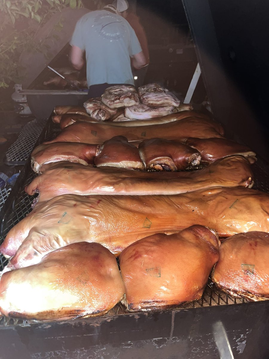 Carolina Treet tweet media