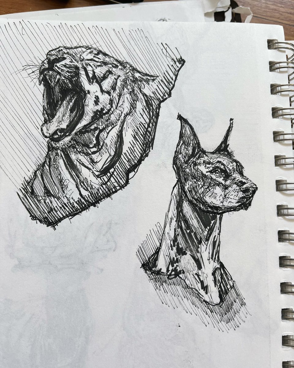 Might start sharing all the sketches I’ve been doing this past 2 years if I can keep consistent. 🖤