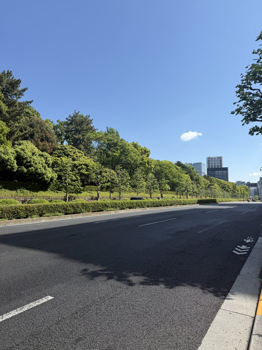 天気が良すぎてお仕事してるのが勿体無い