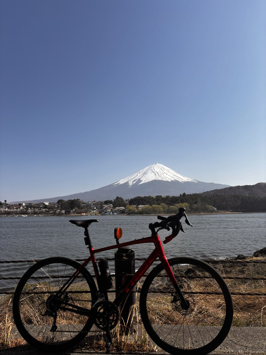 Pinkies_tsuru's tweet photo. 皆さんこんにちは！サークル副代表です。
先日自転車で、都留文科大学～河口湖北岸･御坂峠へサイクリングに出かけました。
桜が満開で富士山と湖とのコラボレーションが最高でした!!
#都留文科大学
#ロードバイク
#サイクリング https://t.co/JYTGNV1HZs