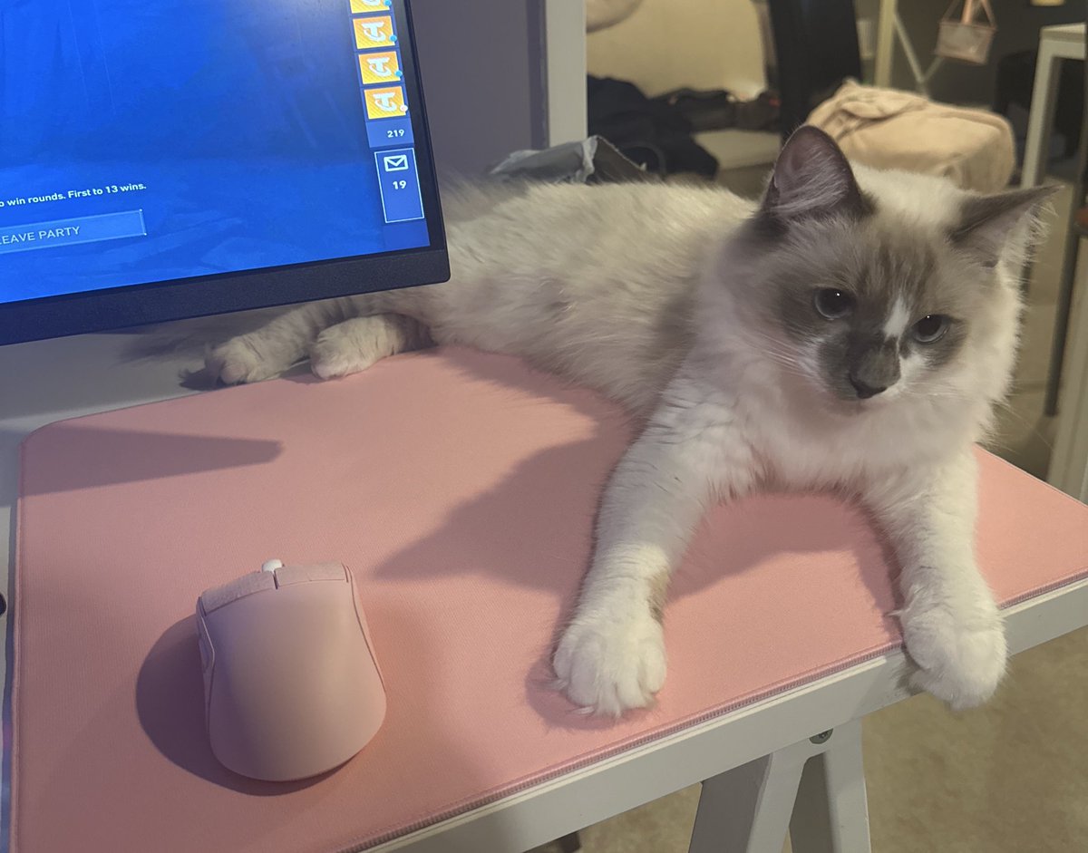 I just got this mousepad 5 minutes ago…
