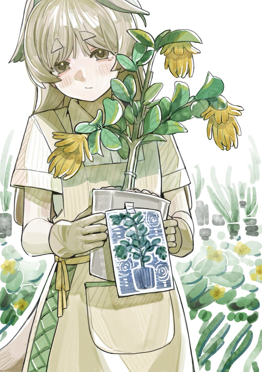 ffsuda010's tweet image. 我的佛手柑