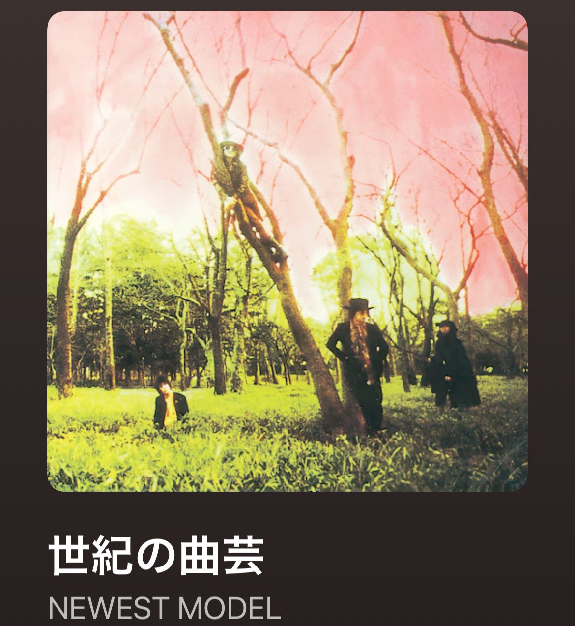 SOUL FLOWER OFFICE(ソウル・フラワー・オフィス SOUL FLOWER OFFICE(ソウル・フラワー・オフィス