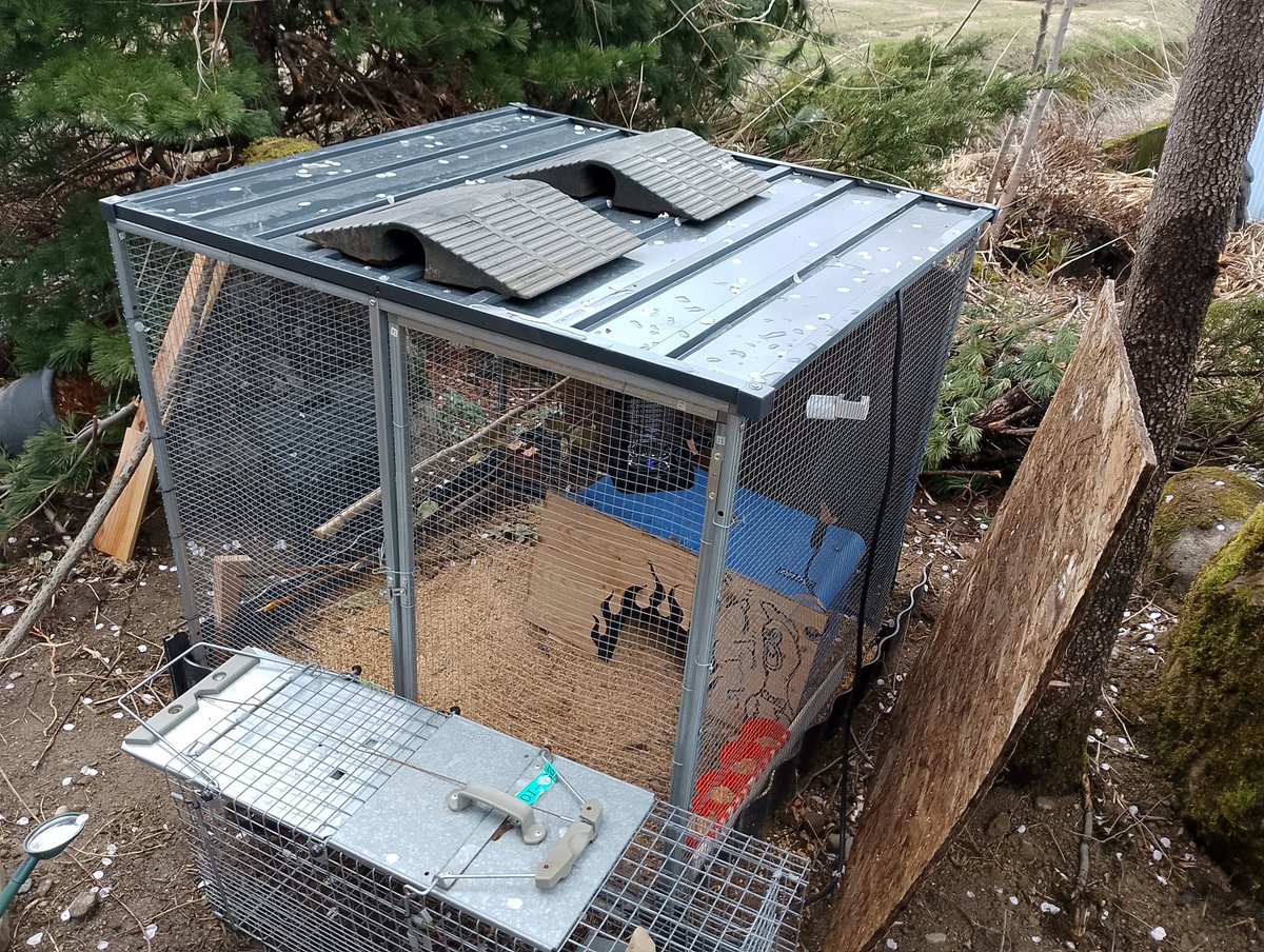 悪党の店バースジャパン【公式】 tweet media