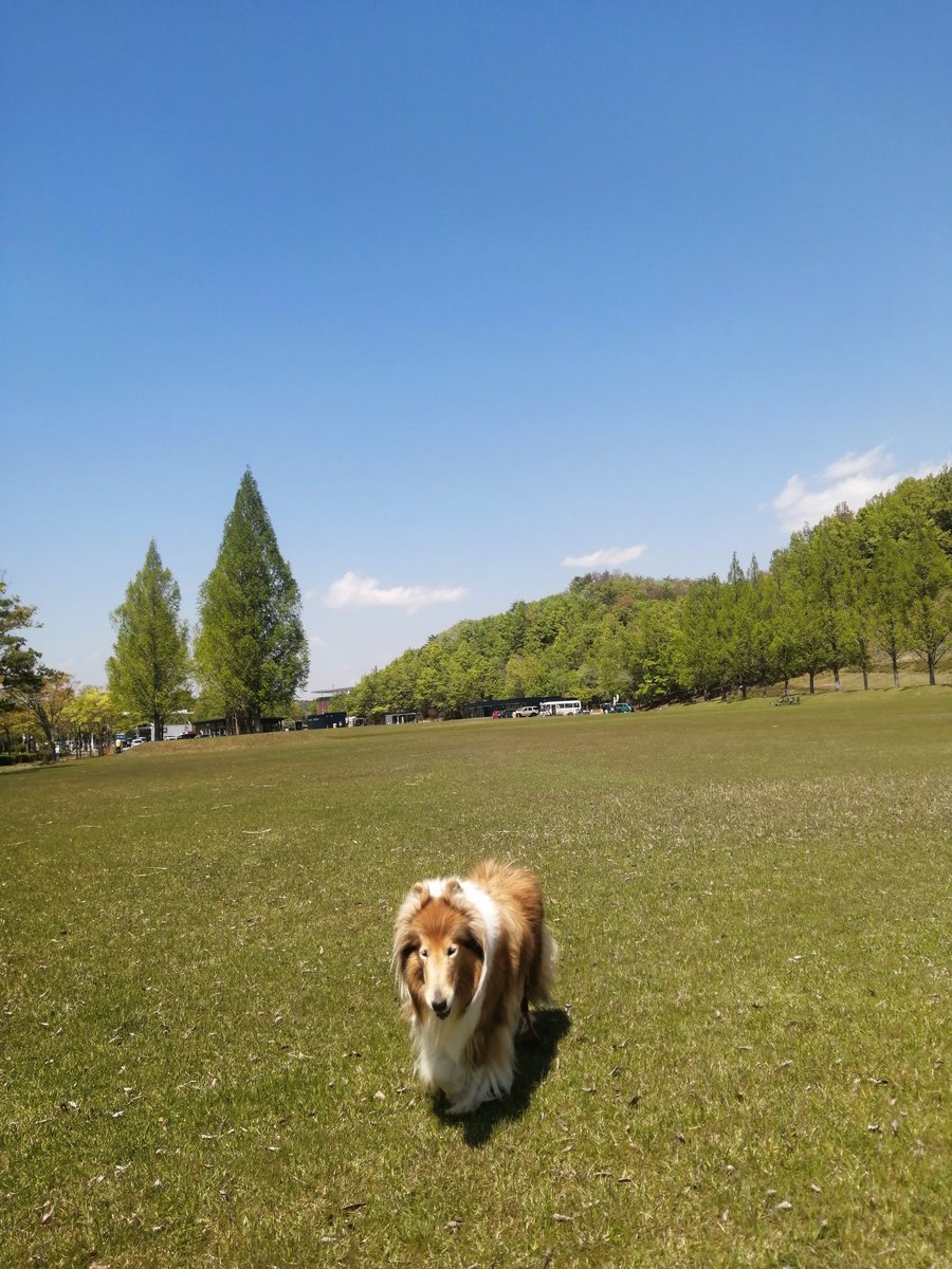 LiLyOCB1100R's tweet image. 母を連れて御息女の下宿先訪問。
途中、ルート65バーガーに寄ってお昼テイクアウト。
良い天気(*´∀｀*)
 #ルート65 
 #Route65