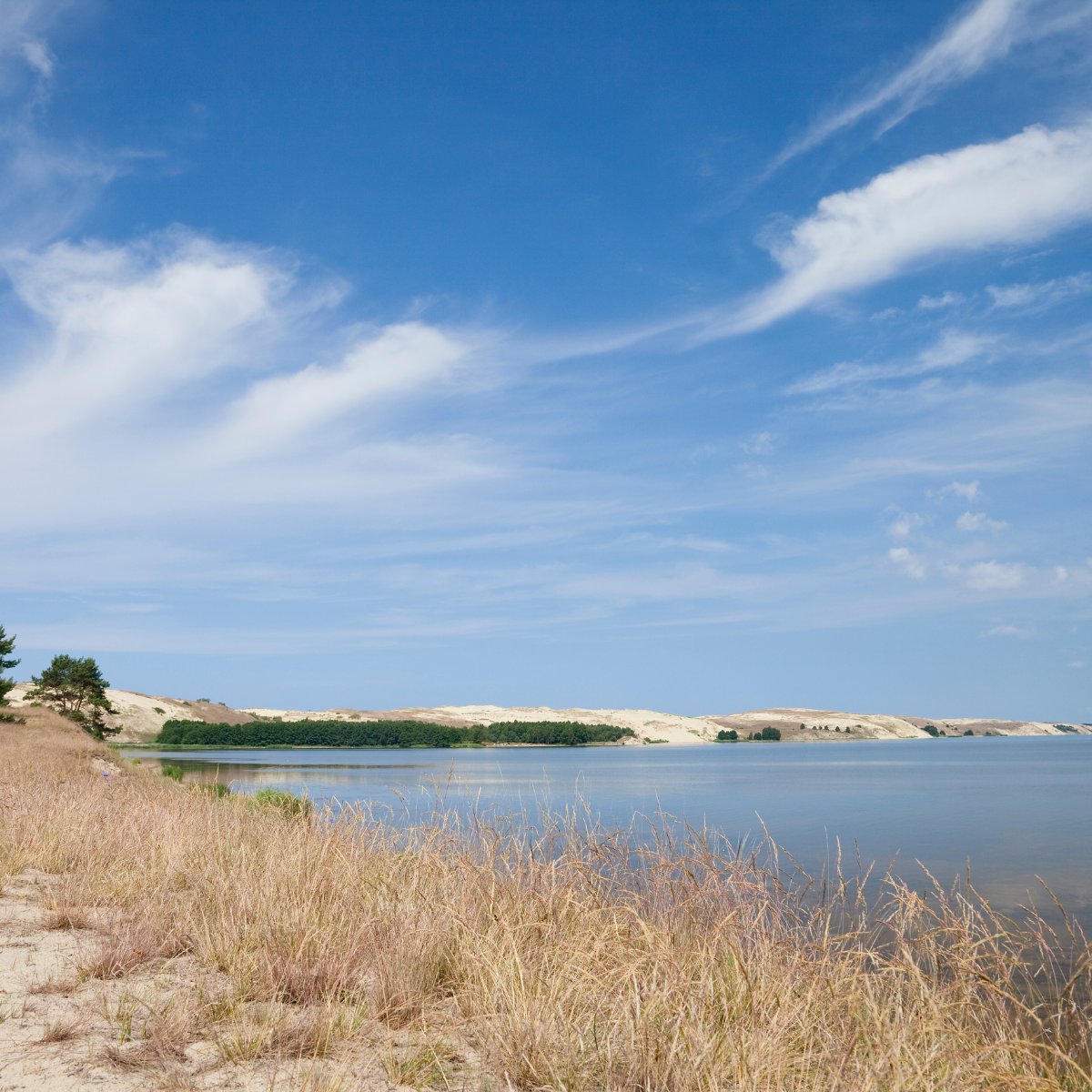 LithuaniaInEU's tweet image. The #CuronianSpit (lagoon) has been officially recognised by the European Film Academy 🎬 as one of the Treasures of European Film Culture—#Lithuania’s 🇱🇹 first entry on the list, joining iconic sites like Rome’s Trevi Fountain &amp;amp; London’s Notting Hill.

🔗 lithuania.lt/news/culture-i…