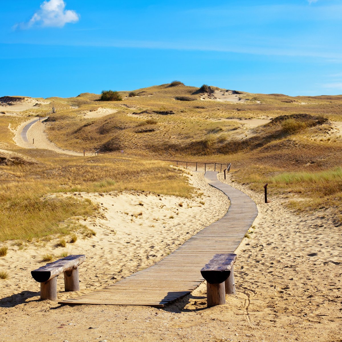 LithuaniaInEU's tweet image. The #CuronianSpit (lagoon) has been officially recognised by the European Film Academy 🎬 as one of the Treasures of European Film Culture—#Lithuania’s 🇱🇹 first entry on the list, joining iconic sites like Rome’s Trevi Fountain &amp;amp; London’s Notting Hill.

🔗 lithuania.lt/news/culture-i…