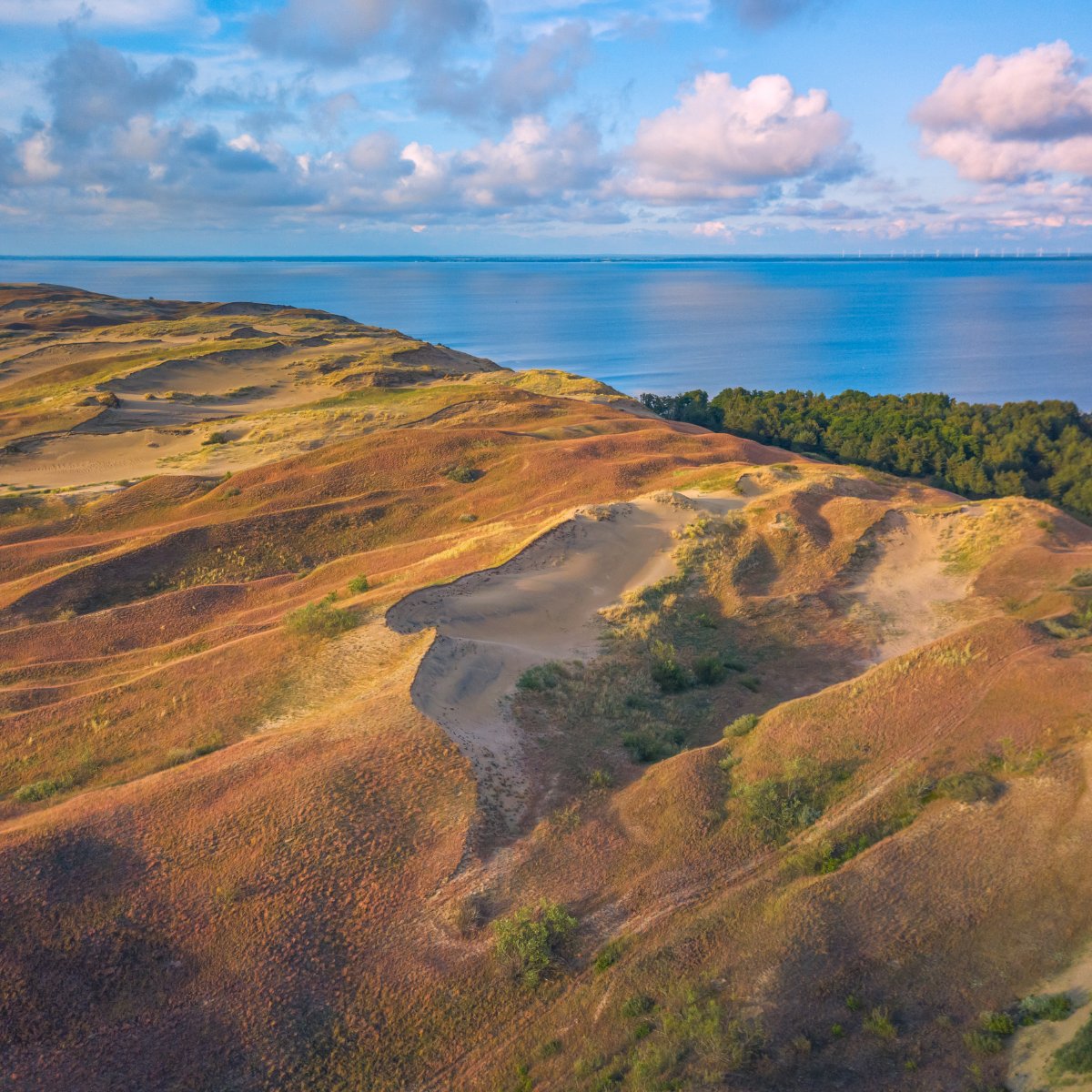 LithuaniaInEU's tweet image. The #CuronianSpit (lagoon) has been officially recognised by the European Film Academy 🎬 as one of the Treasures of European Film Culture—#Lithuania’s 🇱🇹 first entry on the list, joining iconic sites like Rome’s Trevi Fountain &amp;amp; London’s Notting Hill.

🔗 lithuania.lt/news/culture-i…