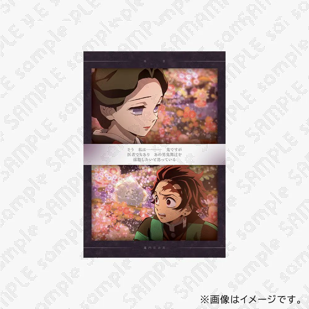 鬼滅の刃 ポストカードセット 柱合会議 蝶屋敷編 浅草編 鼓屋敷編 兄妹