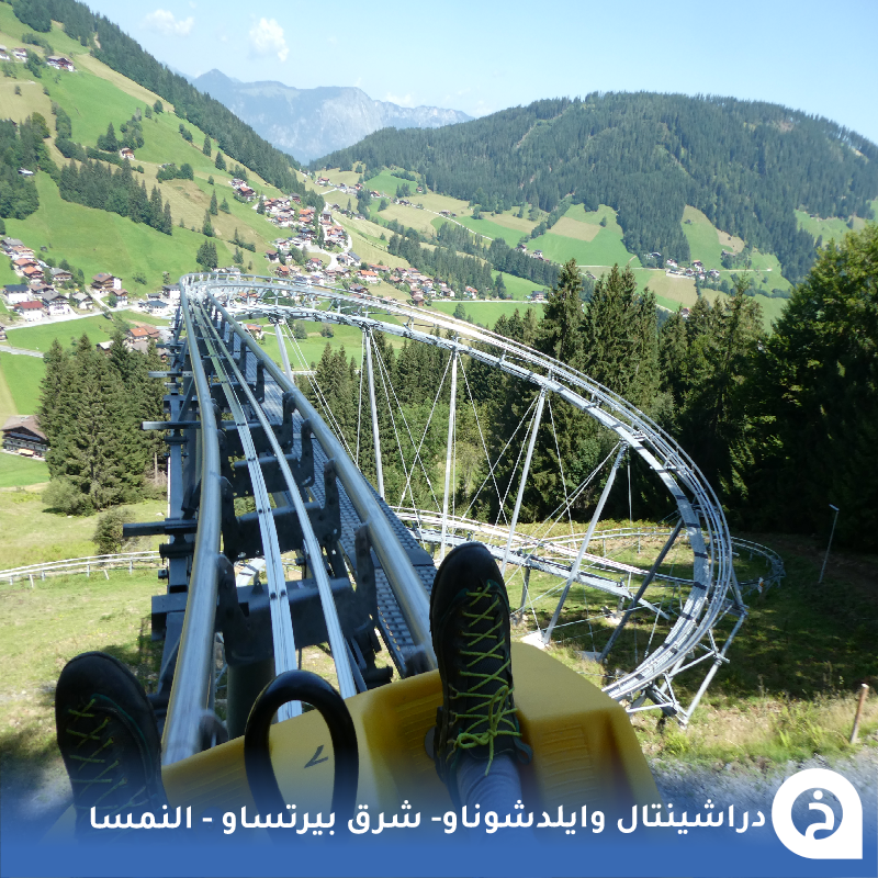 حديقة الاسرة دراشينتال #النمسا🇦🇹 

مُنتزه عائلي يضم أحدث زُحليقة صيفية في منطقة الألب وأكثرها سرعه وإثارة وإرتفاع يصل لـ25م وسط الطبيعة يبعد 47كم من #بيرتساو🌲🎢👨‍👩‍👧‍👦🥇📸😍↓
Familienpark Drachental Wildschönau
📍maps.app.goo.gl/tBY97tfKYCcGpQ…

• مُضاف في خريطة النمسا السياحية.