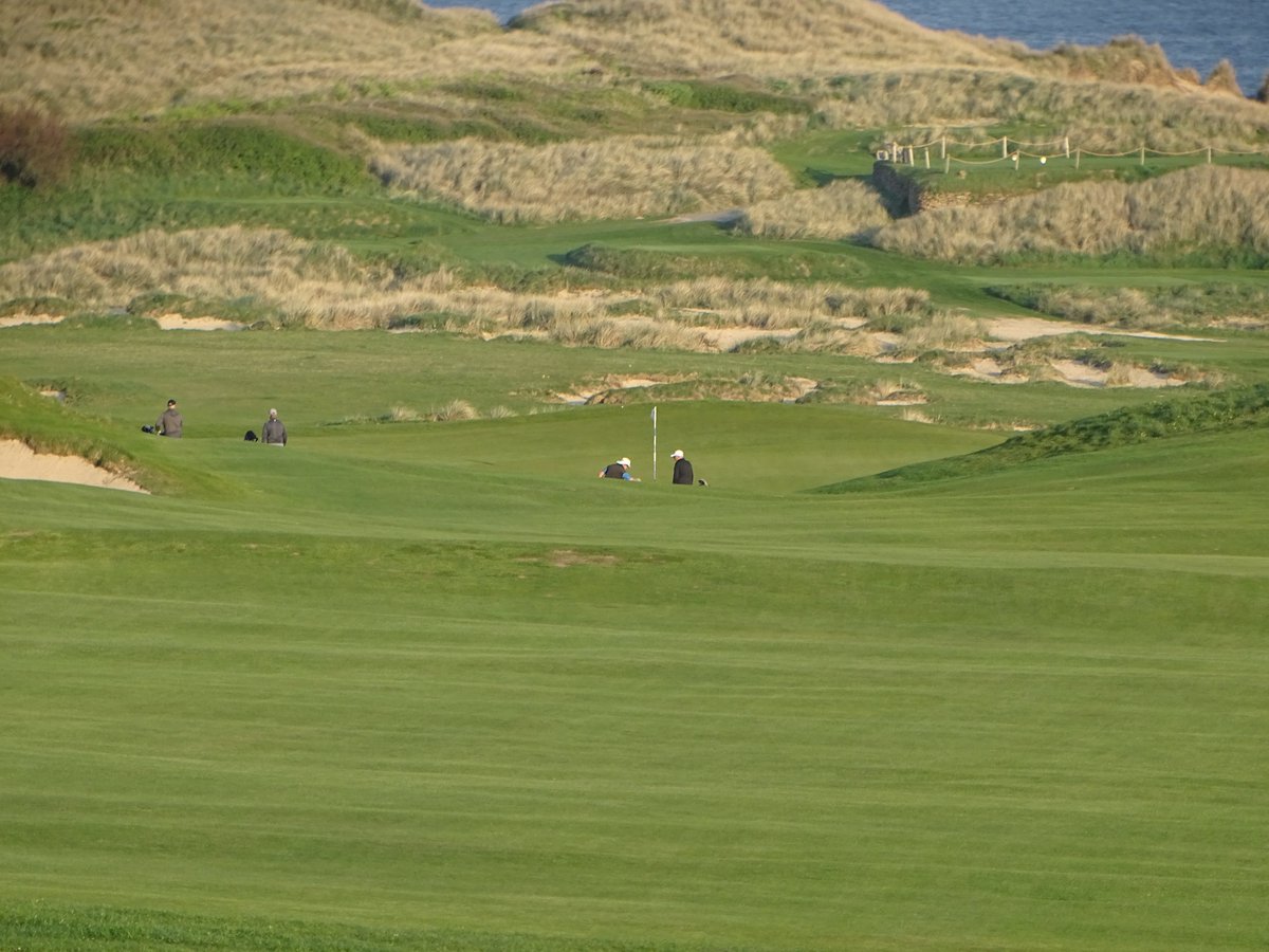 CornwallGolfLtd's tweet photo. Another glorious morning @TrevoseGC for today's Royal Cornwall Challenge Cup with 186 players competing @swsportsnews #CornwallGolf #blessedagain https://t.co/JezmoX677O