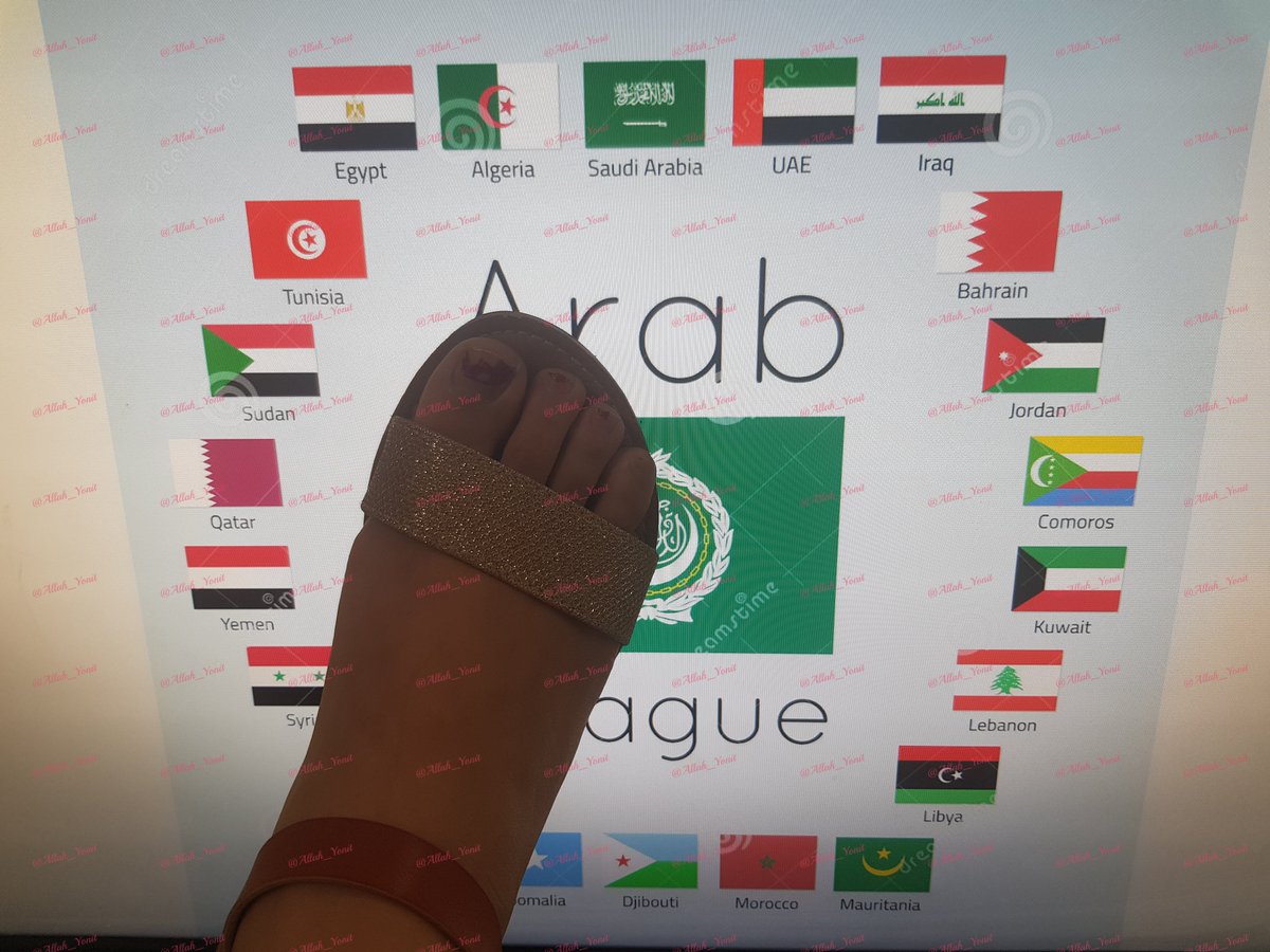 8K 🇮🇱Allah Yonit *official* האלה יונית 🇮🇱 tweet media