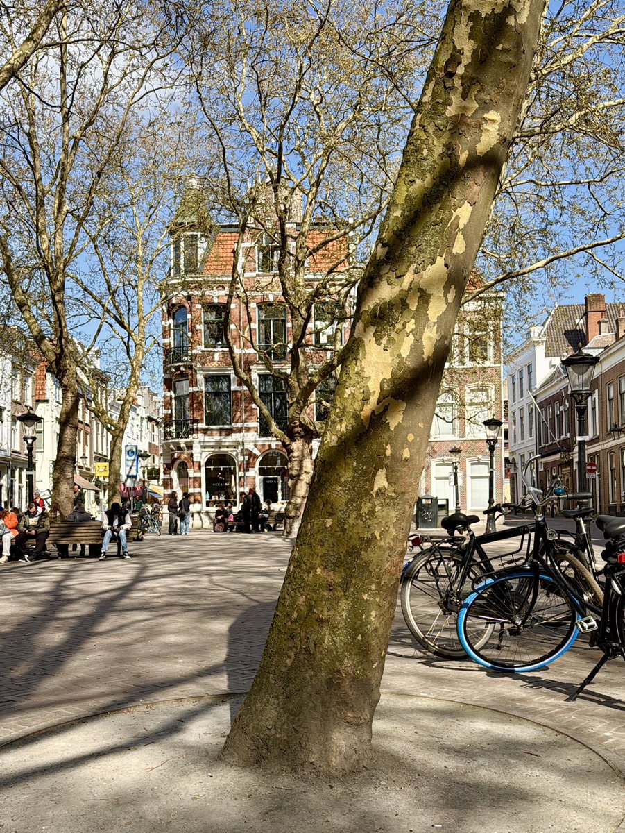 AlecBreunesse's tweet photo. Wijze les is om direct als de #aanvraag #evenement wordt gepubliceerd:
1. Deze aanvraag direct op te vragen bij het gemeenteloket voor de inhoud;
2. Na te denken en op te schrijven waar het evenement jouw belang raakt voor de overlast / verstoring van je dagelijks leven;
3. Kijk of er gemeentelijke regels zijn waar de aanvraag mee strijdig is en schrijf dat ook op;
4. Dien binnen een week je reactie op de aanvraag in bij het e-mail adres wat beschikbaar is voor reactie én stuur het per aangetekende post op.
Op deze manier kan de vergunningverlening rekening houden met jouw belang en aan belangenafweging doen. Doe je reactie op de aanvraag voordat gemeente een standpunt inneemt voor het verlenen van een vergunning. Dit is de meest effectieve manier.