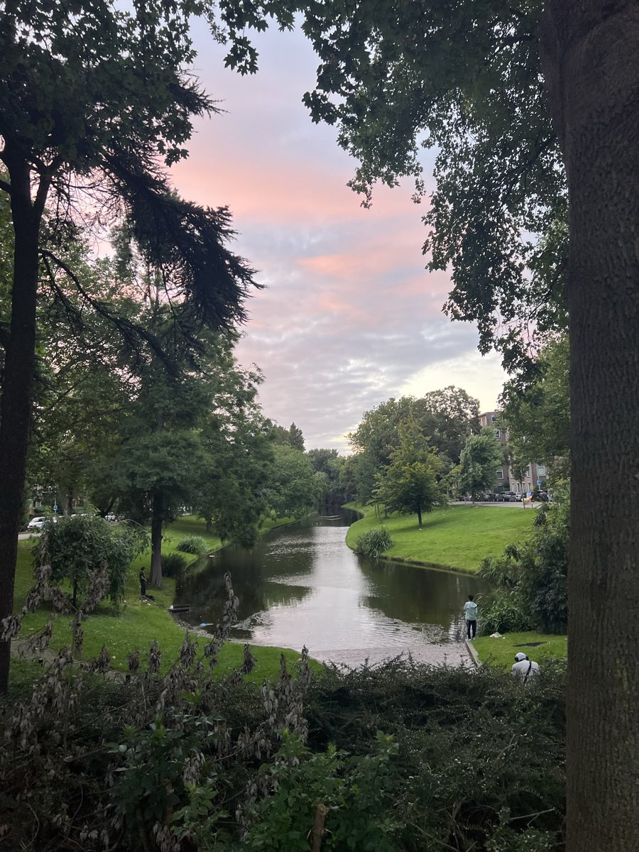 heartednotes's tweet image. meanwhile this is the 5 min walk to the grocery store… the american mind can’t comprehend