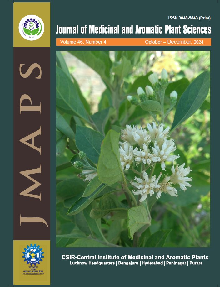 Fresh off the press! JMAPS Vol 46, No 4 (Oct–Dec 2024) is live 🎉. The cover shows a twig of Gymnanthemum amygdalinum bursting with blooms. Explore cutting-edge work on medicinal &amp; aromatic plants today. jmaps.in #JMAPS <a href="/PrabodhTrivedi/">Prabodh Trivedi</a> <a href="/CSIRCIMAP/">CSIR-CIMAP</a>
