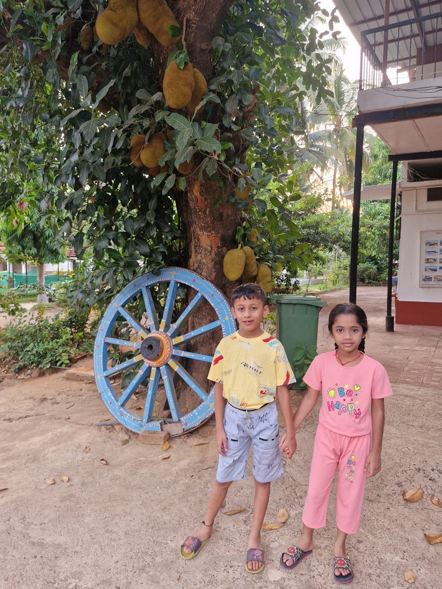 SnehaFarm's tweet photo. "Mini adventures and endless smiles! 🌸🐾 This little guest is loving every moment at Sneha Farmhouse! 💚#TinyExplorers #makingmemories #enjoylife #enjoyingmoments #snehafarmhouse #SummerVibes https://t.co/lyon4HYO3g