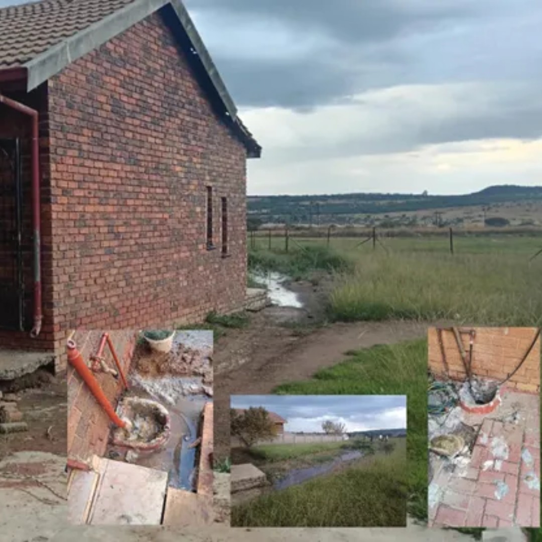 🚨 Sewage Crisis in Sebokeng: A Community Trapped in Filth
While politicians celebrate Freedom Day, families here are prisoners of stench, disease, and government neglect.
#DAatWork #FixEmfuleni #HumanRightsNow #RescueSA #DA_GPL

Read more: iol.co.za/the-star/news/…