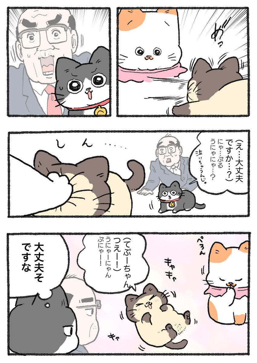 にゃん※おまとめ割してますページ ねこに転生したおじさん。その704 | やじま@ねこおじ5巻発売中