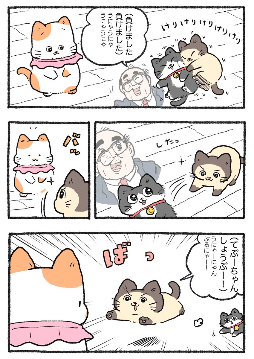 ねこおじ様 ねこに転生したおじさん。その704