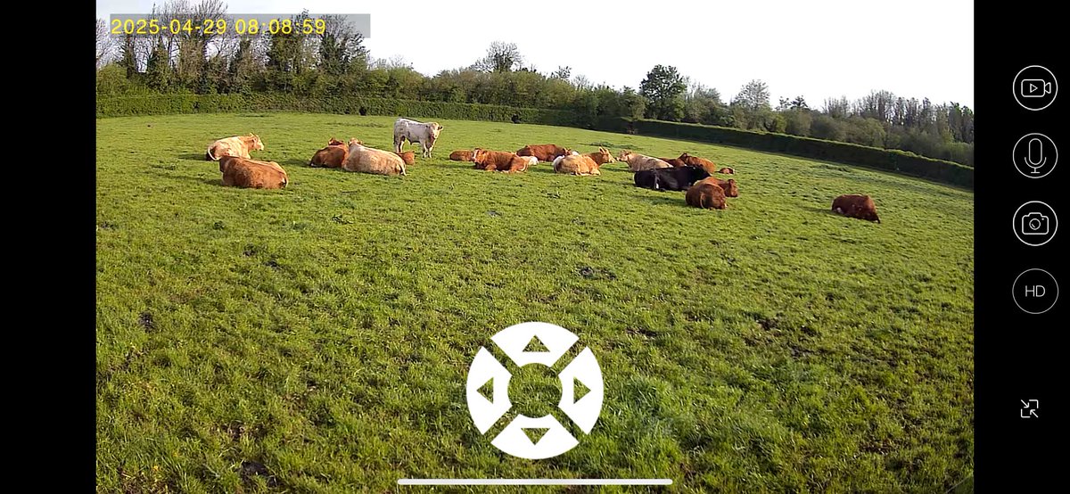 Michael Behan tweet media