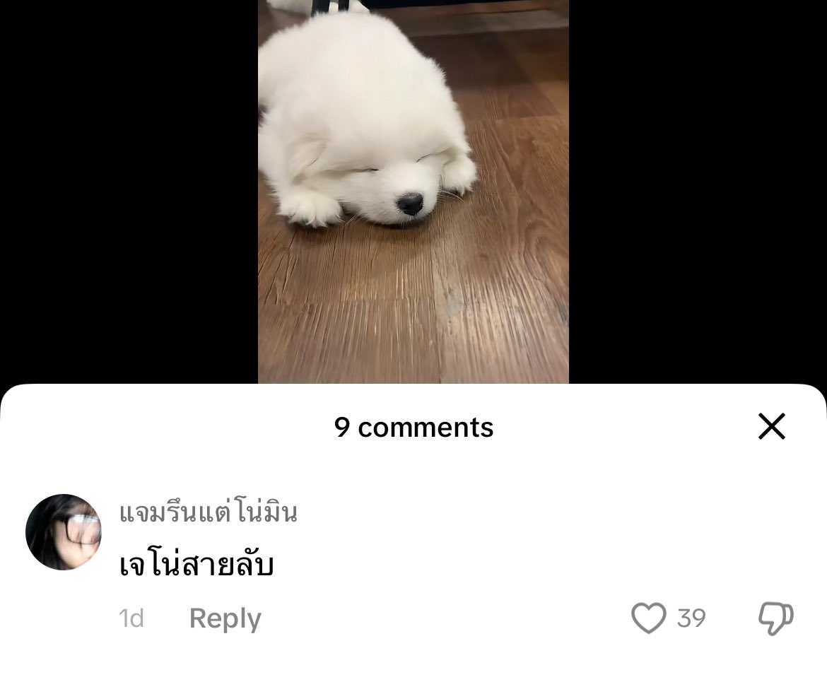 เม้นบอก ‘เจโน่สายลับ’ ละเป้นซามอยด์เด้กขี้เซาเหมือนน่อเป้ะเลย555555555 อ้ยยเอ้นดูมาก🥹🥹