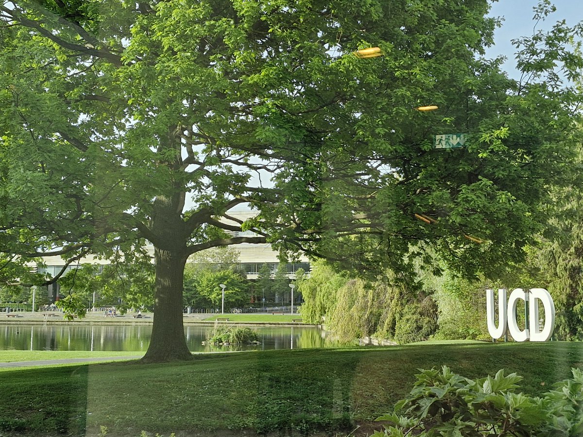 🌟Today is the day!  We’re delighted and ready to kick off the CHAS Grad Research Day A full schedule of presentations &amp; posters awaits - spanning the spectrum of research across our College. Let’s celebrate the curiosity, dedication, &amp; excellence of our researchers. #CHAS #UCD