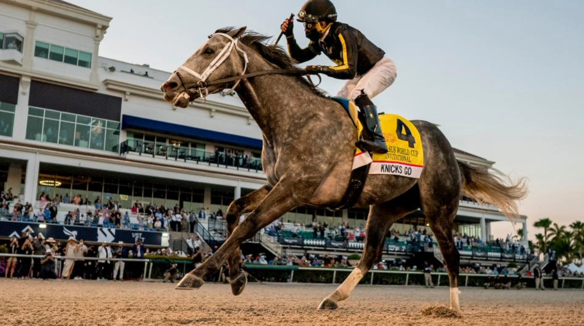 delwhite17's tweet photo. Excited about the future of horse racing with @partofdream_POD! ���� Who else is ready to embrace the digital and crypto revolution? What features are you most looking forward to? �� #HorseRacing #Crypto $POD @MirraTerminal https://t.co/3BFT7aMW4i