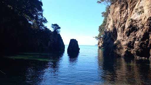 PMontemarcello's tweet image. La caletta di #Maralunga, #Lerici.
Una spiaggia segreta, scolpita dal vento e custodita dal mare.
#parcomontemarcellomagravara
#biodiversità #sostenibilità #beactiveliguria #lamialiguria #liguriapreziosa #8maggio