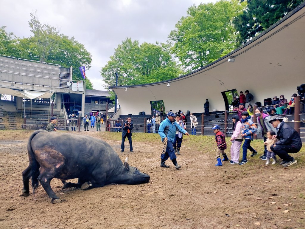 今日は、山古志デジタル村民"牛の角突きファンクラブ"のみなさんから牛さんのエサ代が寄付されました🐂
牛の角突き文化が、ずっとずっと続いていきますように！
山古志闘牛会&amp;女子部のみなさん、ありがとうございました✨