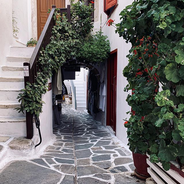 Enchanting passage in the Chora of Naxos!

naxos.gr

📷 : Gabriel (instagram.com/gabriel.guita)

#naxosandsmallcyclades #SmallCyclades #Aegean #Cyclades #naxos #Greece #cyclades_island #travelgreece #lovegreece #greekislands #visitgreece #island #naxosisland #chora