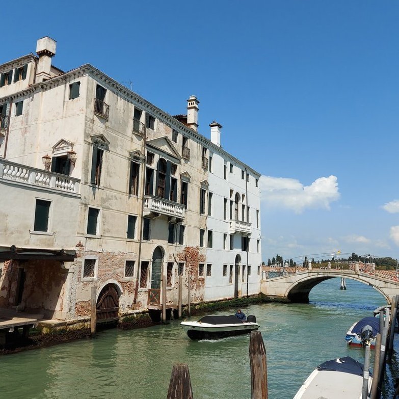 Xerses phus tweet media