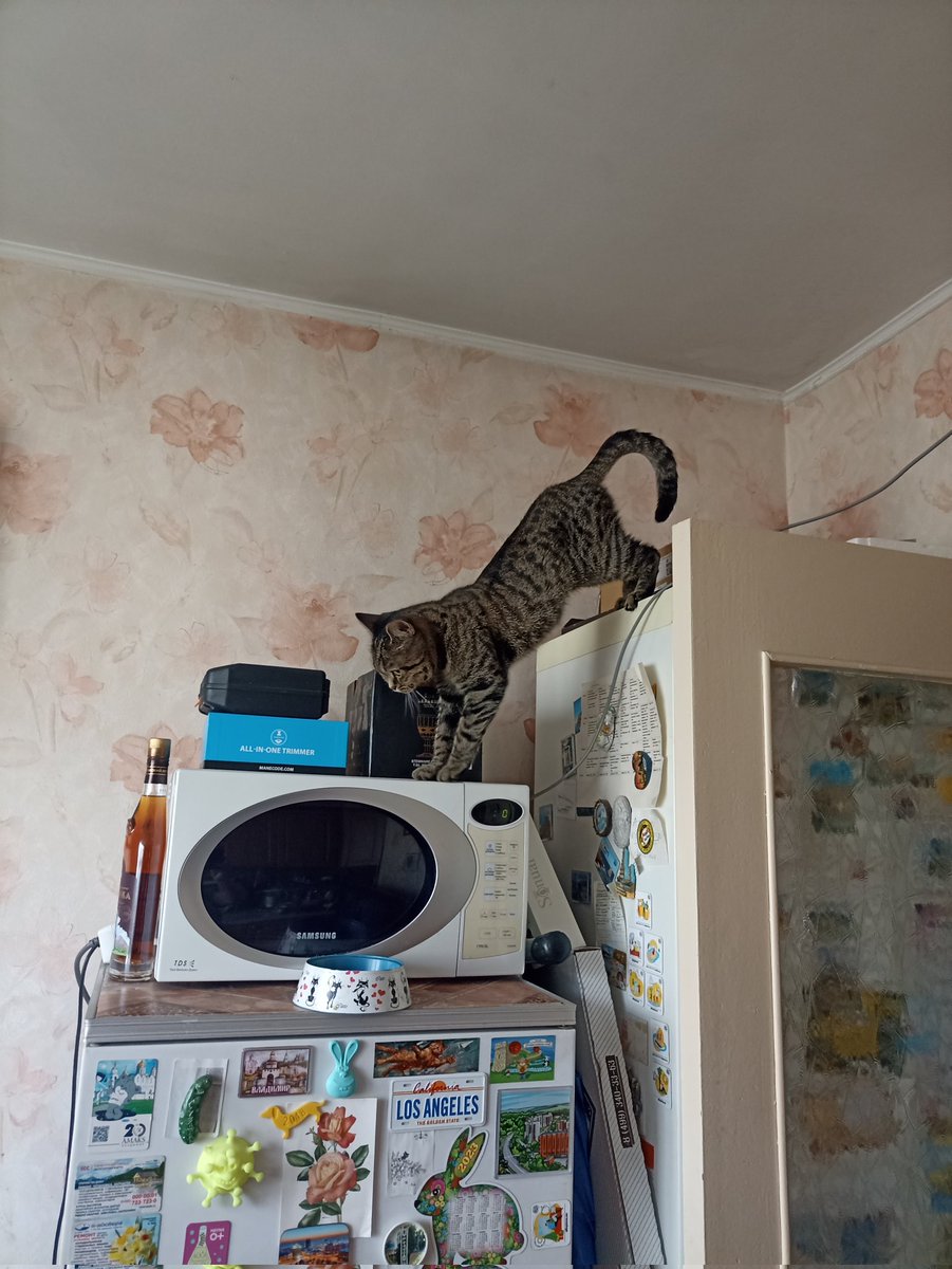 Утренняя зарядка. 
Вот только забыла: должно быть отжимание или степ-аэробика со ступенькой повыше

За сим отмуркиваюсь
Ваша Кася