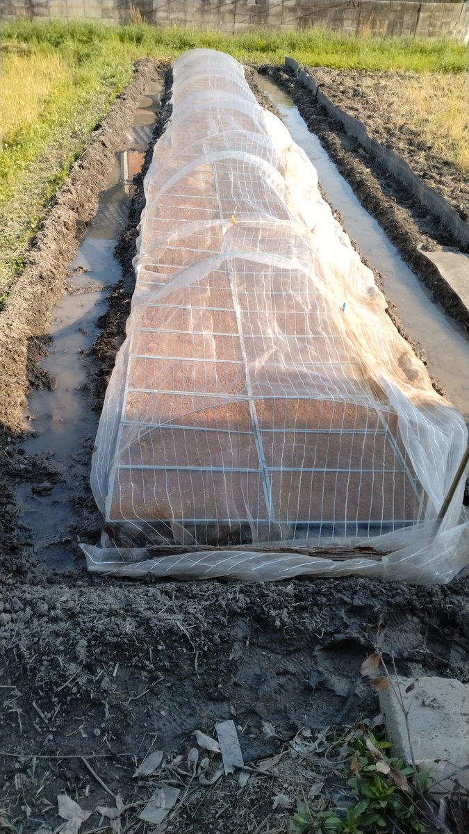 苗床が出来ました、あと1ヶ月で田植えです。