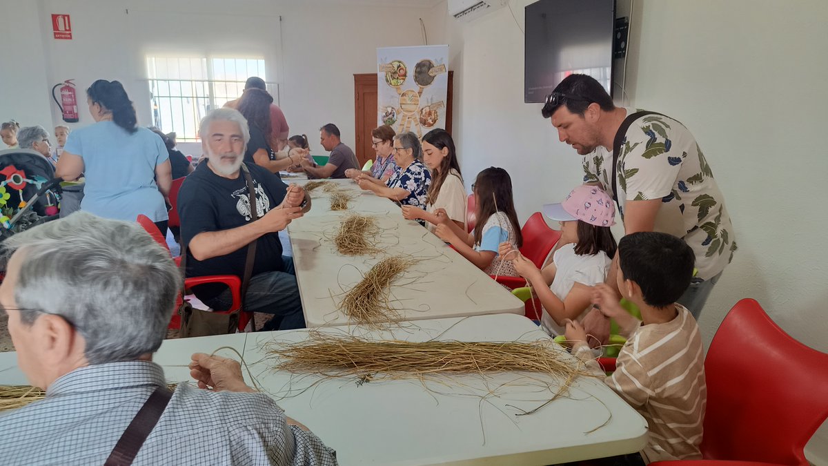 CETENMA's tweet photo. 🌾 #Cartagena celebró las primeras Jornadas en Familia con esparto dentro del proyecto #SPARTARIA
👨👩👧👦 35 personas de todas las edades se reunieron para aprender a trabajar esta fibra natural y realizar manualidades
@FBiodiversidad #ProyectosPRTR #PlanDeRecuperación https://t.co/RBU5Rb0dlE
