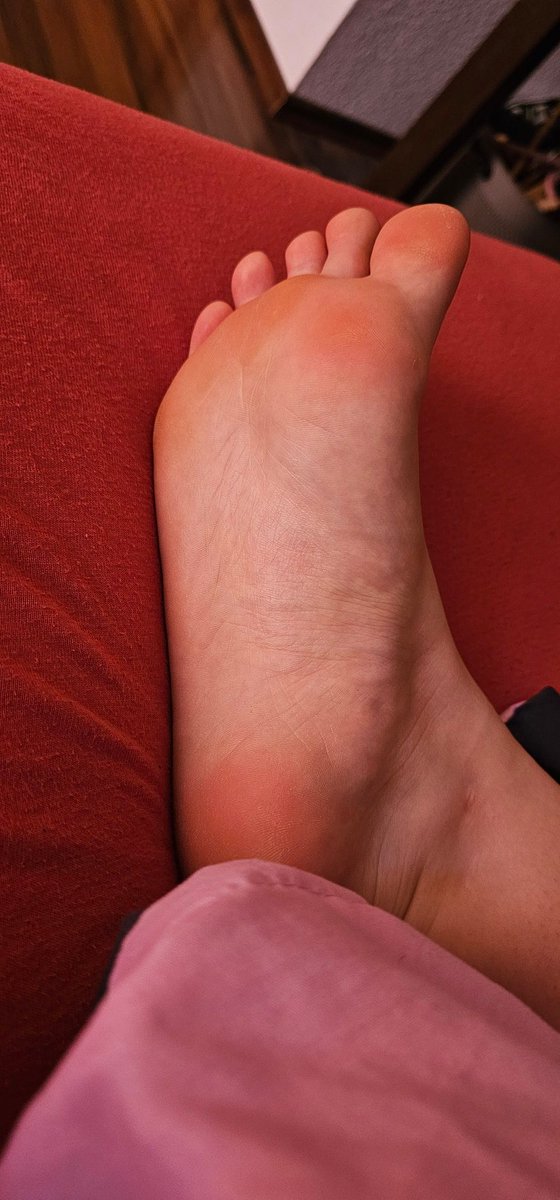 ElkeSims871's tweet photo. Earl in the morning

#fußfetisch #feetfetish #Füße #Socken #feet #feetfeed #zehen #Ferse #fuß 

@Daddy555556 @Feet_Shoutout @shoutout_io @fans_shoutout https://t.co/Z4RNAKRpon