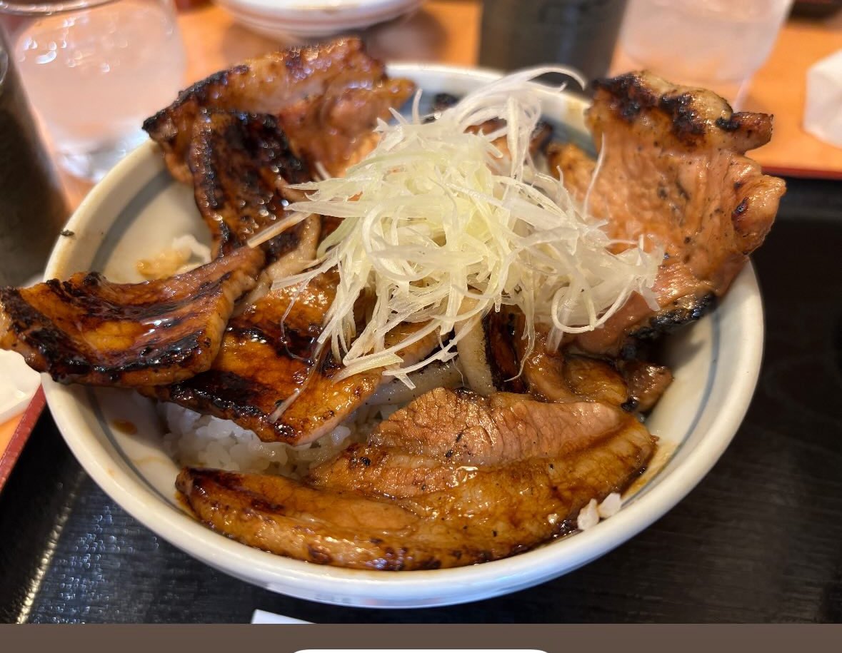 ちょっと前にすた丼で食べた豚丼
あまりにも肉が薄くて小さかった。
このレベルで十勝豚丼を使わないで欲しい。ネガティブキャンペーンにも程がある。

ちなみに牛ホルモンと合盛りです。