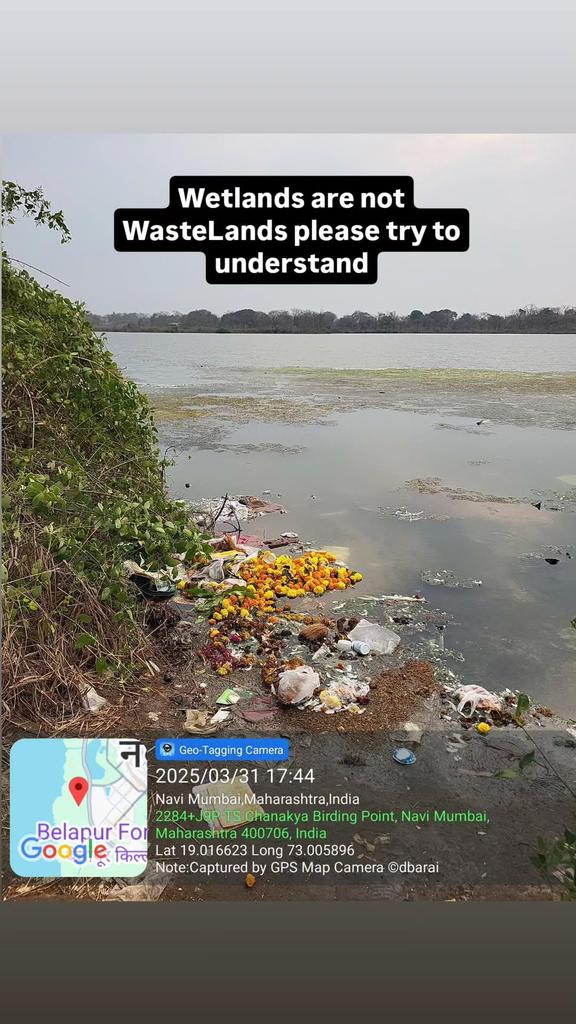 dharmeshbarai's tweet photo. Situation of Navi Mumbai Wetlands in bad condition and authorities are busy to just promoting #FlamingoCity
It's an humble request to top bosse of the concerned department must visit at these areas and take a deep look.
@NMMConline @moefcc @RamsarConv @MahaEnvCC @NaikSpeaks https://t.co/g9X4U44pZB