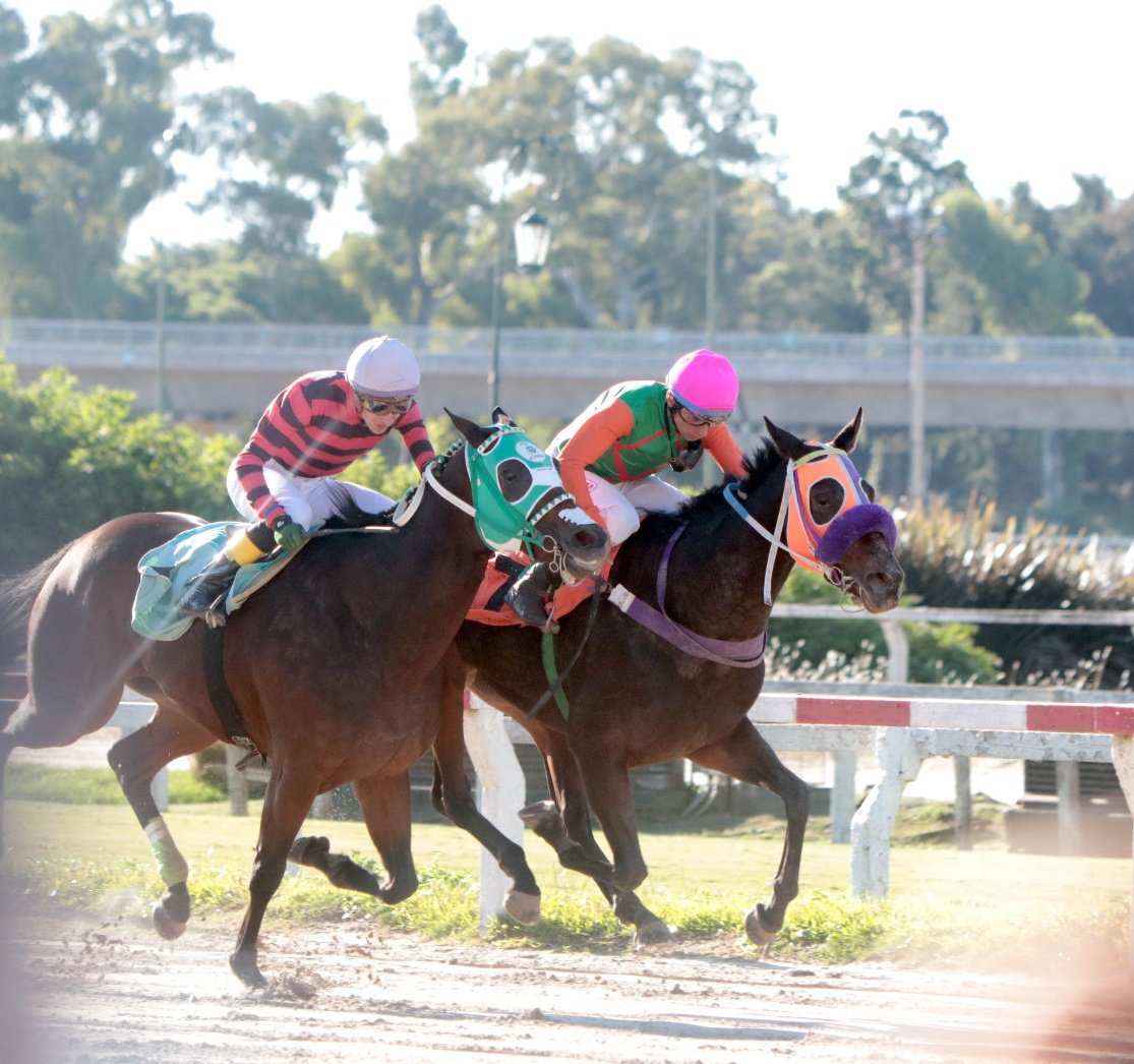 turfmanARG's tweet image. Hoy si  fue un gran día
Gané una carrera de esas cabeza a cabeza y que ganó la más guapa, la mía.
Carreron!!!
Un día muy feliz!!
Fue mucho trabajo llevarla al podio, pero se logró.
Que buen 2025 estoy teniendo con mi pasión.
Huyaaa!!!!
Al fin una alegría en esta crisis de mierda!