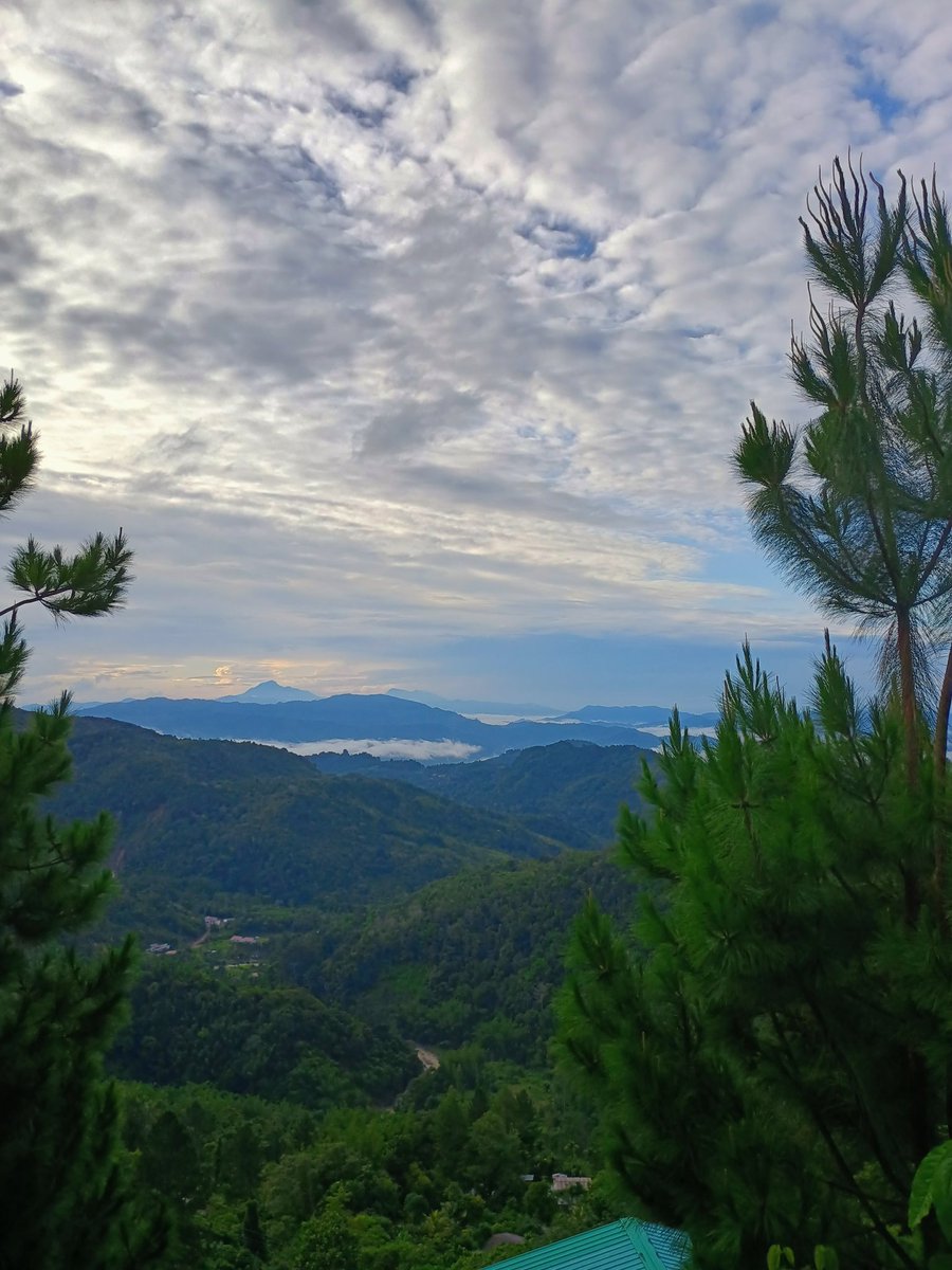 Koun Sikaan - happy day from Kundasang, Sabah.