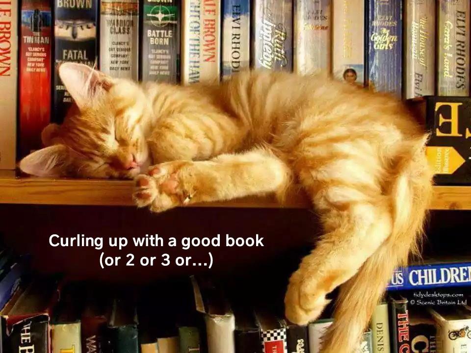 TheRelicApron's tweet photo. Goodnight, X friends 💤💤💤 https://t.co/egcVASLzIi
