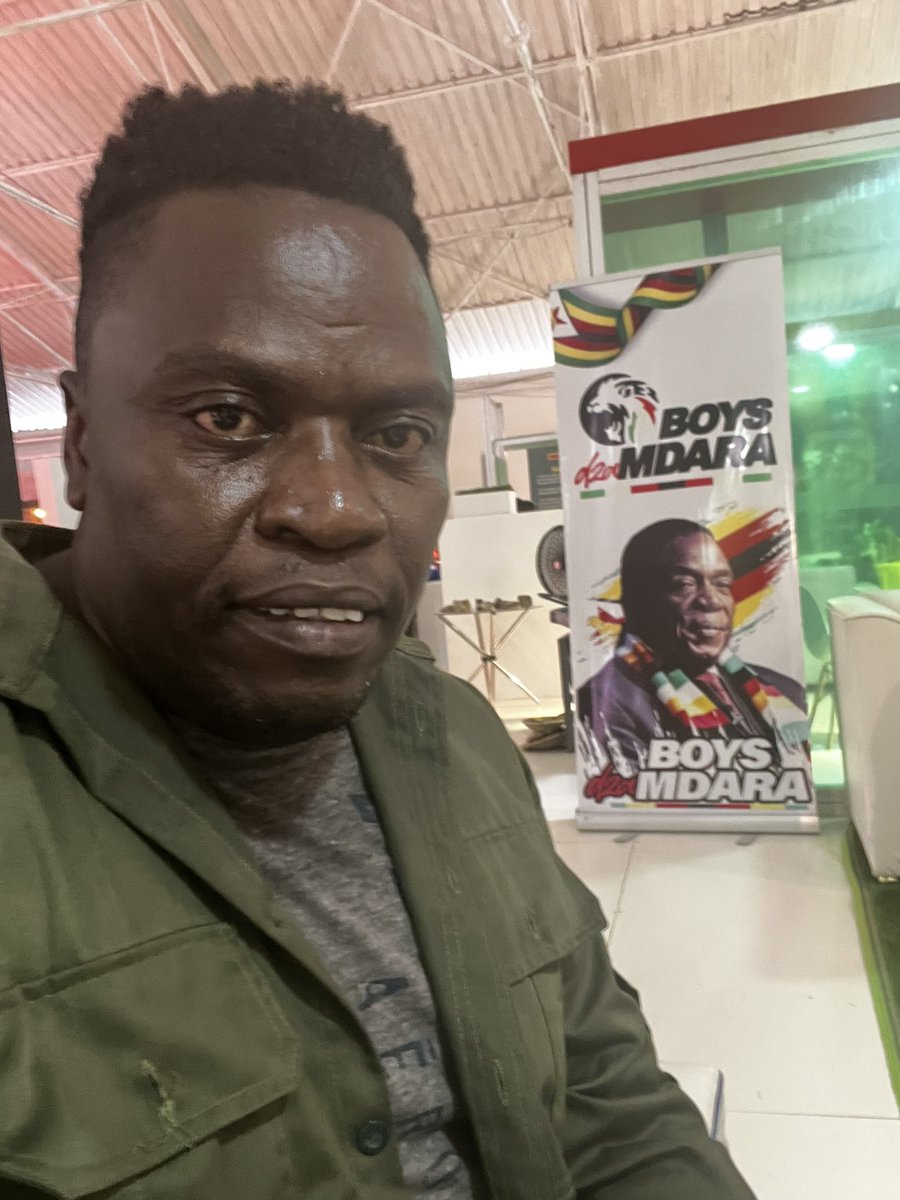 If Zim has to send a rep to fight that gorilla, yongoita family feud ikoko 💀