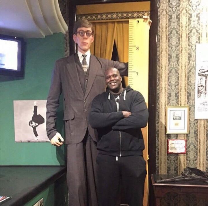 Crazymoments01's tweet photo. @kirawontmiss Shaq, at 7'1", stands next to a wax figure of Robert Wadlow, who was the tallest man to have ever lived at 8'11" https://t.co/ucPeGHeDlt