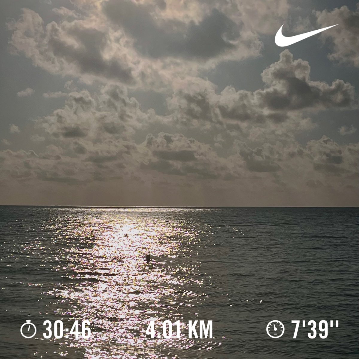 Endorphjunkie's tweet photo. Arrancamos semana con paseo por la 5a. Av. y la Playita, regresamos a la rutina; corrí 4.01 km + pushups + pullups + fierros callejeros + nadada caribeña #oldschool #endorphinejunkie #horafeliz #paquete https://t.co/ecyLjYe5Kj