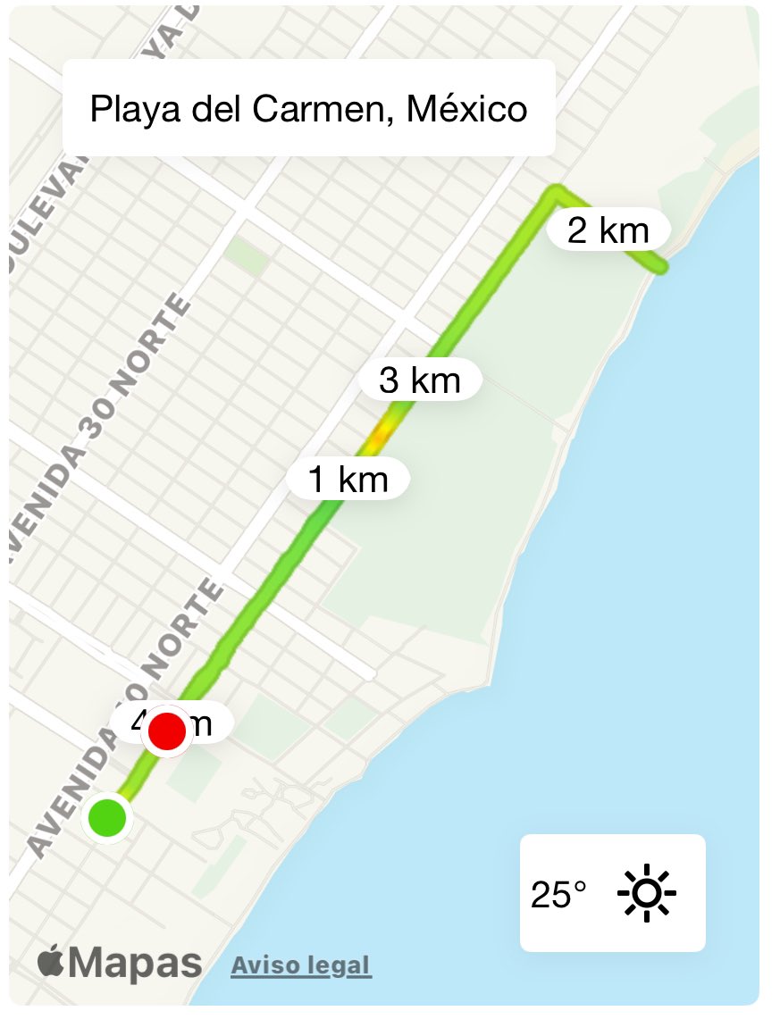 Endorphjunkie's tweet photo. Arrancamos semana con paseo por la 5a. Av. y la Playita, regresamos a la rutina; corrí 4.01 km + pushups + pullups + fierros callejeros + nadada caribeña #oldschool #endorphinejunkie #horafeliz #paquete https://t.co/ecyLjYe5Kj